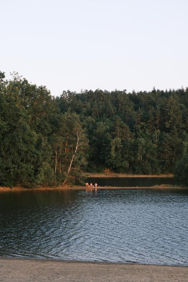 Lodge Avec Spa Privatif - Foret Et Lac Liginiac Exterior photo